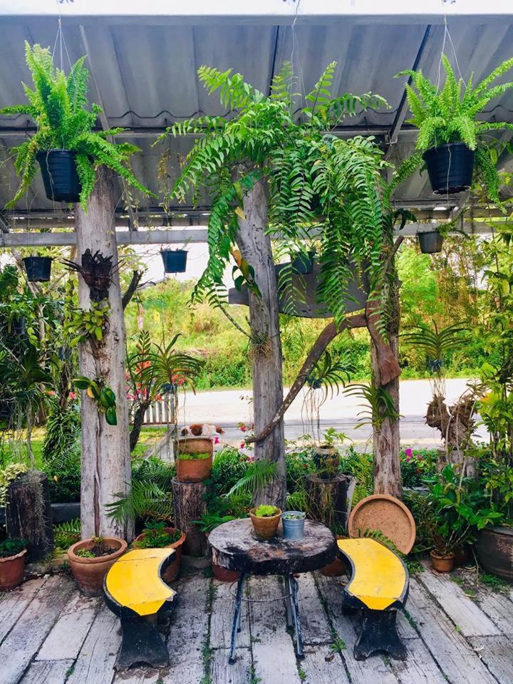 Mech Mansion Hotell Chiang Rai Eksteriør bilde